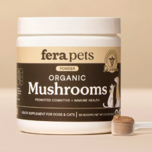 fera mushroom