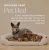 HigherDose Infrared PEMF Pet Bed